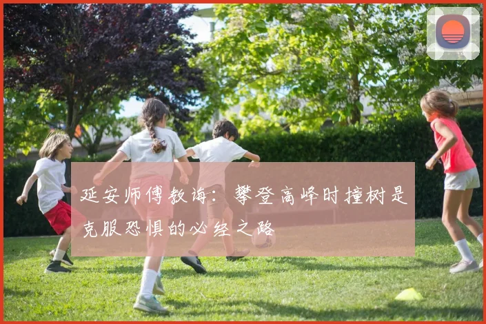 延安师傅教诲：攀登高峰时撞树是克服恐惧的必经之路